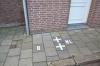 DSC_7732.jpg