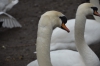 Файл=DSC_8082.jpg
Объём=272KB
Размеры=1024x678
Дата=Янв 17, 2014 DSC_8082.jpg