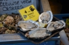 Файл=DSC_8113.jpg
Объём=397KB
Размеры=1024x678
Дата=Янв 20, 2014 DSC_8113.jpg