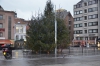 Файл=DSC_8118.jpg
Объём=535KB
Размеры=1024x678
Дата=Янв 20, 2014 DSC_8118.jpg
