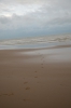 Файл=DSC_8195.jpg
Объём=282KB
Размеры=678x1024
Дата=Янв 20, 2014 DSC_8195.jpg