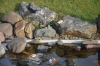 Файл=DSC_8606.jpg
Объём=446KB
Размеры=1024x678
Дата=Фев 10, 2014 DSC_8606.jpg