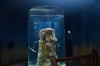 Файл=DSC_9396.jpg
Объём=334KB
Размеры=1024x678
Дата=Март 13, 2014 DSC_9396.jpg