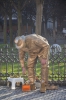 Файл=DSC_9870.jpg
Объём=1870KB
Размеры=1632x2464
Дата=Март 31, 2014 DSC_9870.jpg