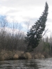 Файл=IMG_2842.JPG
Объём=701KB
Размеры=1200x1600
Дата=Май 13, 2012 IMG_2842.JPG