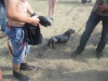 Файл=IMG_4820.jpg
Объём=289KB
Размеры=1024x768
Дата=Июнь 12, 2013 IMG_4820.jpg