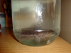 DSC00912.JPG