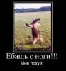Файл=x_6a14701d.jpg
Объём=34KB
Размеры=448x479
Дата=Дек 05, 2009 x_6a14701d.jpg