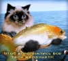 Файл=otk-prik1.jpg
Объём=55KB
Размеры=499x452
Дата=Дек 15, 2011 otk-prik1.jpg
