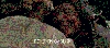 Файл=0_3e646_91dcc236_XL.gif
Объём=4185KB
Размеры=350x155
Дата=Апр 27, 2010 0_3e646_91dcc236_XL.gif