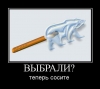 413be12c3c132e1aad7cfcebf06.jpg