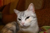 Файл=IMG_2148.JPG
Объём=4030KB
Размеры=4272x2848
Дата=Дек 29, 2011 IMG_2148.JPG