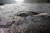 Файл=IMG_0515и.jpg
Объём=482KB
Размеры=1200x800
Дата=Сент 04, 2010 IMG_0515и.jpg