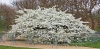 Файл=IMG_1826и_новый_размер.jpg
Объём=259KB
Размеры=800x394
Дата=Июнь 16, 2010 IMG_1826и_новый_размер.jpg