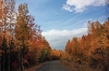 Файл=IMG_4225_новый_размер.JPG
Объём=273KB
Размеры=800x533
Дата=Сент 30, 2010 IMG_4225_новый_размер.JPG