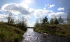 Файл=IMG_4506и.JPG
Объём=930KB
Размеры=1993x1200
Дата=Май 27, 2010 IMG_4506и.JPG