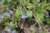 Файл=IMG_4983.JPG
Объём=621KB
Размеры=2000x1333
Дата=Июнь 13, 2010 IMG_4983.JPG
