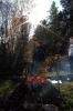 Файл=IMG_5128_новый_размер.JPG
Объём=551KB
Размеры=800x1200
Дата=Сент 28, 2010 IMG_5128_новый_размер.JPG