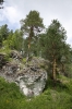 Файл=IMG_5136.JPG
Объём=1148KB
Размеры=1200x1800
Дата=Июнь 13, 2010 IMG_5136.JPG