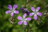 Файл=IMG_5139.JPG
Объём=488KB
Размеры=2000x1333
Дата=Июнь 13, 2010 IMG_5139.JPG