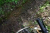 Файл=IMG_5305.JPG
Объём=1474KB
Размеры=2000x1333
Дата=Июнь 13, 2010 IMG_5305.JPG