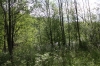 Файл=IMG_5309.JPG
Объём=1802KB
Размеры=2000x1333
Дата=Июнь 13, 2010 IMG_5309.JPG