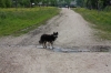 Файл=IMG_5532.JPG
Объём=238KB
Размеры=800x533
Дата=Июнь 20, 2010 IMG_5532.JPG