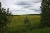 Файл=IMG_5756.JPG
Объём=200KB
Размеры=800x533
Дата=Июнь 20, 2010 IMG_5756.JPG