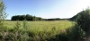 Файл=IMG_7995и.JPG
Объём=294KB
Размеры=1200x562
Дата=Авг 04, 2010 IMG_7995и.JPG