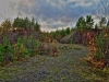 Файл=P1010067_8_9.jpg
Объём=567KB
Размеры=1200x903
Дата=Май 22, 2010 P1010067_8_9.jpg