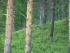 Файл=P1010621.JPG
Объём=586KB
Размеры=1200x900
Дата=Май 22, 2010 P1010621.JPG