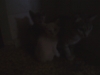 Файл=IMG0176.jpg
Объём=1114KB
Размеры=2592x1944
Дата=Сент 06, 2010 IMG0176.jpg