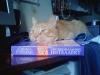 Файл=IMG0192.jpg
Объём=1174KB
Размеры=2592x1944
Дата=Нояб 04, 2010 IMG0192.jpg