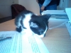 Файл=IMG0411.jpg
Объём=1914KB
Размеры=2592x1944
Дата=Авг 02, 2011 IMG0411.jpg