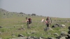 Файл=_hQ2tT2RWlc.jpg
Объём=81KB
Размеры=807x454
Дата=Июль 02, 2012 _hQ2tT2RWlc.jpg