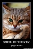 Файл=кот.jpg
Объём=65KB
Размеры=475x680
Дата=Март 06, 2011 кот.jpg