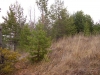 Файл=1~5.JPG
Объём=94KB
Размеры=640x480
Дата=Окт 06, 2011 1~5.JPG