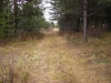 Файл=1_(3)~1.JPG
Объём=95KB
Размеры=640x480
Дата=Окт 06, 2011 1_(3)~1.JPG