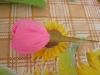 Файл=1_(6)~1.JPG
Объём=783KB
Размеры=2048x1536
Дата=Окт 12, 2012 1_(6)~1.JPG