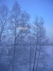 Файл=SANY0001.JPG
Объём=350KB
Размеры=480x640
Дата=Дек 17, 2010 SANY0001.JPG