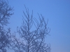 Файл=SANY0006~0.JPG
Объём=272KB
Размеры=640x480
Дата=Дек 17, 2010 SANY0006~0.JPG