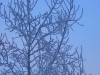 Файл=SANY0008~0.JPG
Объём=275KB
Размеры=640x480
Дата=Дек 17, 2010 SANY0008~0.JPG