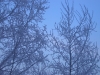 Файл=SANY0009~0.JPG
Объём=358KB
Размеры=640x480
Дата=Дек 17, 2010 SANY0009~0.JPG