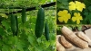 Файл=lyufa-foto.jpg
Объём=43KB
Размеры=520x300
Дата=Май 10, 2012 lyufa-foto.jpg
