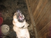 Файл=x_545959ac.jpg
Объём=68KB
Размеры=604x453
Дата=Авг 03, 2011 x_545959ac.jpg