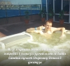 Файл=y0LIkg2cnLY.jpg
Объём=209KB
Размеры=1070x1024
Дата=Июль 26, 2013 y0LIkg2cnLY.jpg