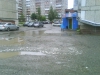 DSC00012.JPG