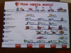 Файл=DSC00720.JPG
Объём=646KB
Размеры=1600x1200
Дата=Сент 03, 2013 DSC00720.JPG
