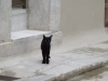 Файл=DSCF0176.JPG
Объём=59KB
Размеры=1024x768
Дата=Дек 22, 2013 DSCF0176.JPG