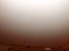 Файл=DSCF0386.JPG
Объём=25KB
Размеры=1024x768
Дата=Дек 21, 2013 DSCF0386.JPG